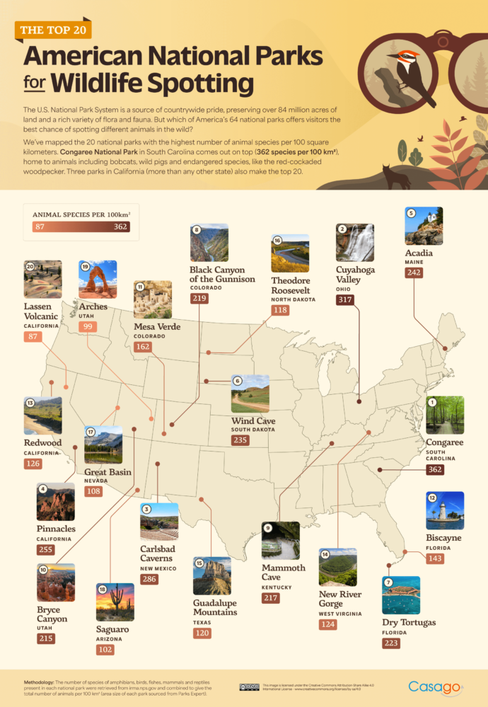 Infographic showing top 20 American National Parks for wildlife spotting