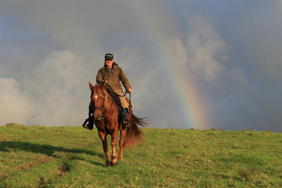 Man on horse next to rainbow | Family Kailua-Kona Activities