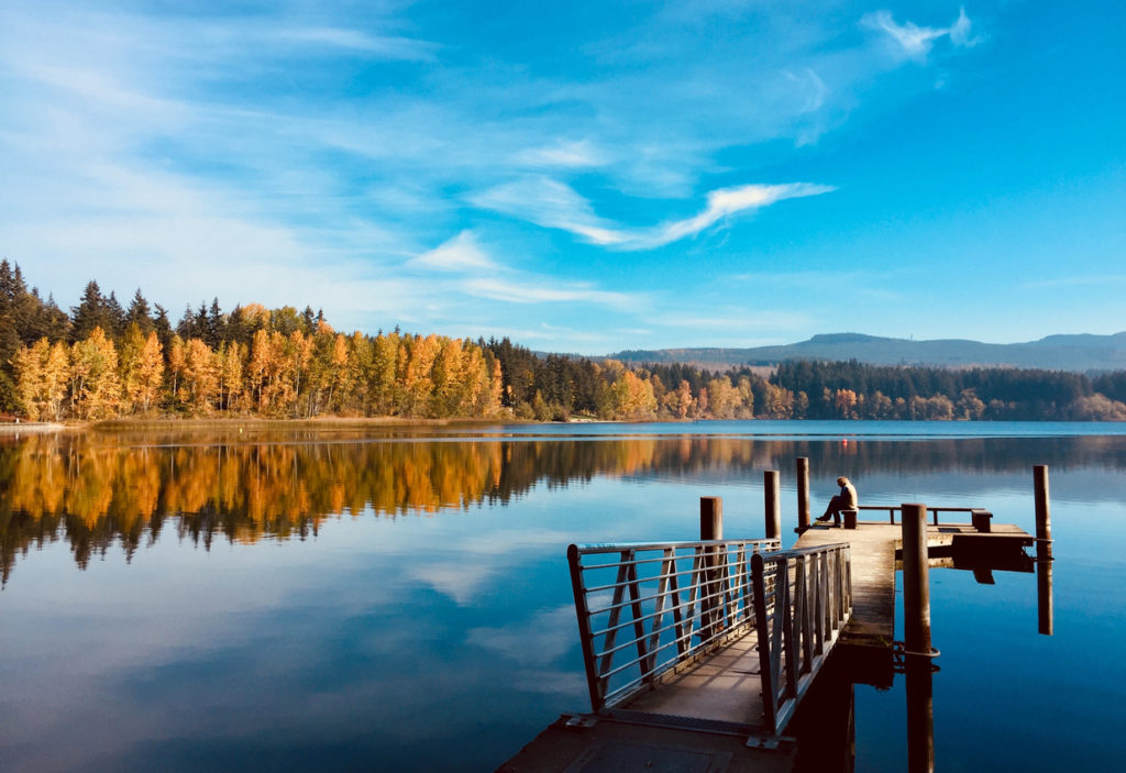 bellingham washington, lake in washington, Fall reflections on Lake Padden