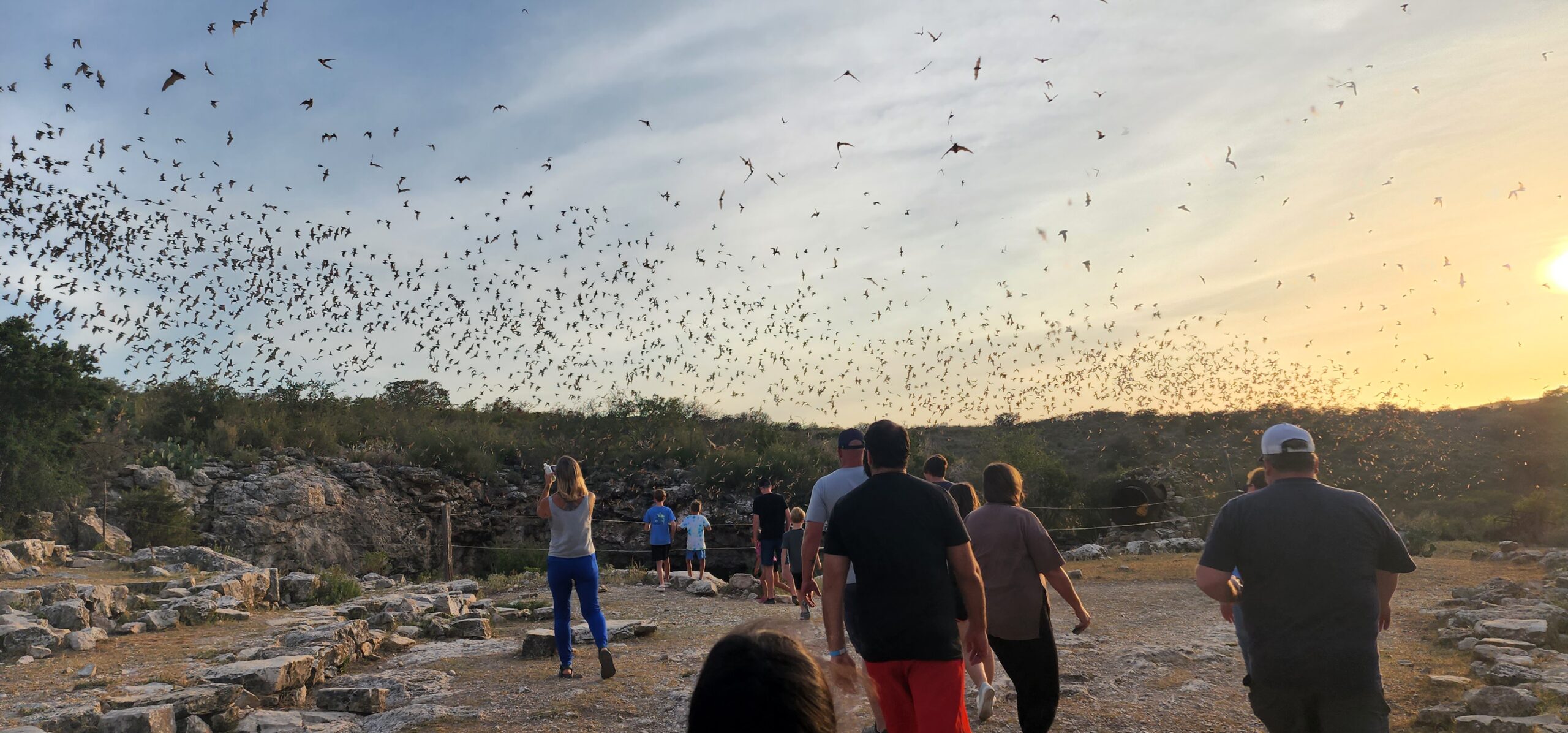 Frio Bat Flight Tours - Frio River