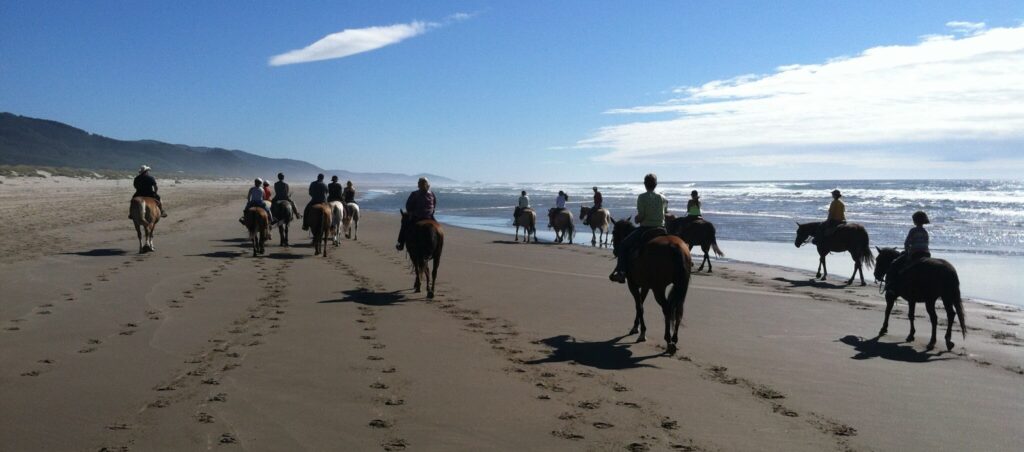 Oregon Beach Rides