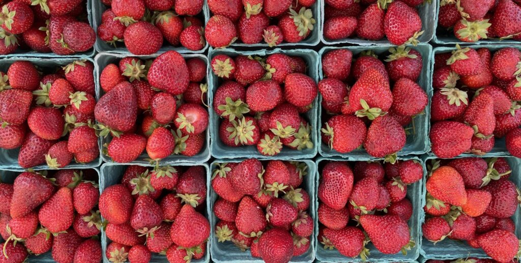 Cannon Beach Farmers Market strawberries