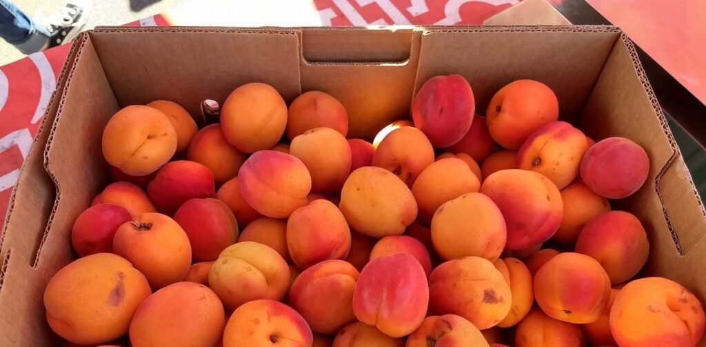 Cannon Beach Farmers Market peaches