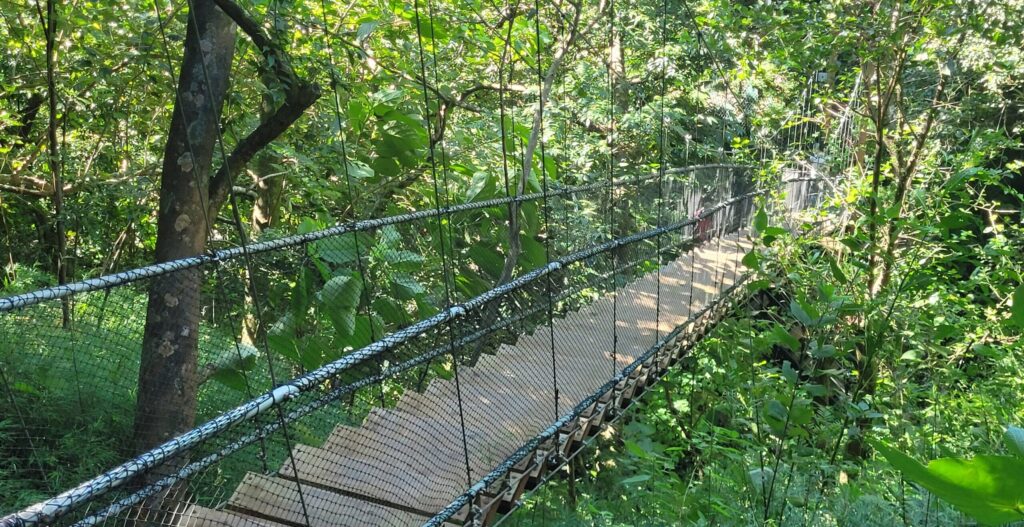 trail bridge
