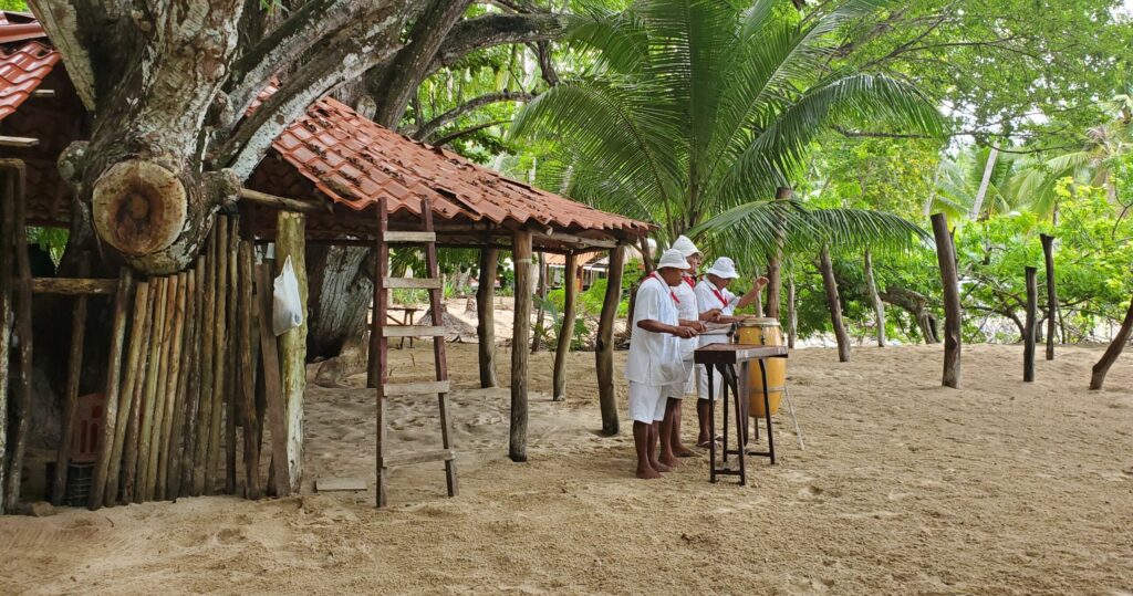 Costa Rican musicians