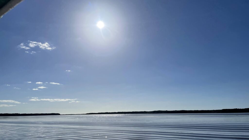 water at Ria Celestun Biosphere Reserve