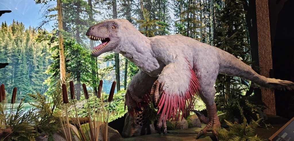 dinosaur exhibit