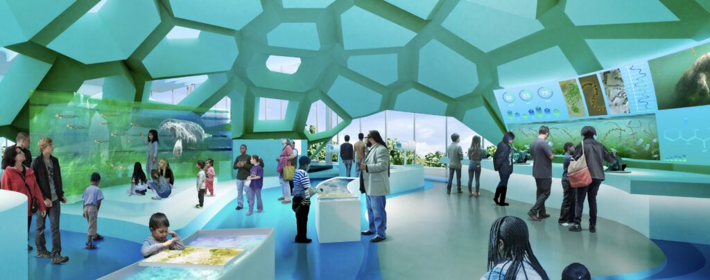 immersive exhibit