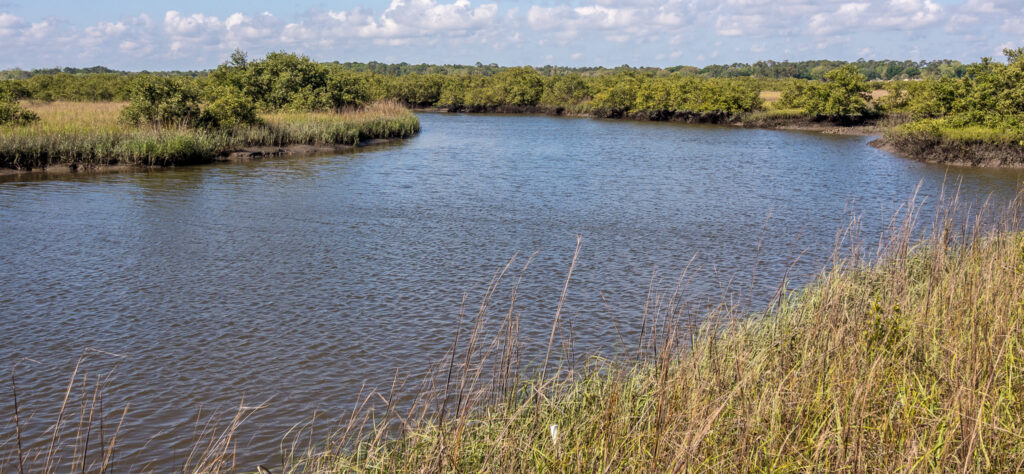 waterway at GTM Research Reserve