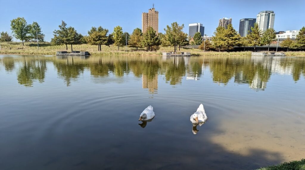 ducks at Railroad Park