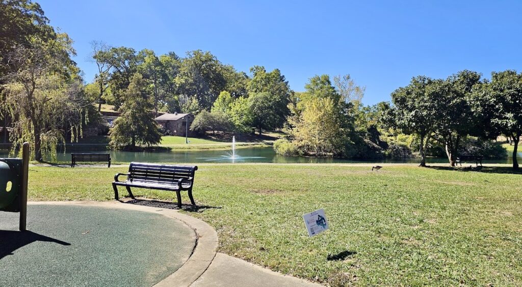 bench and pond