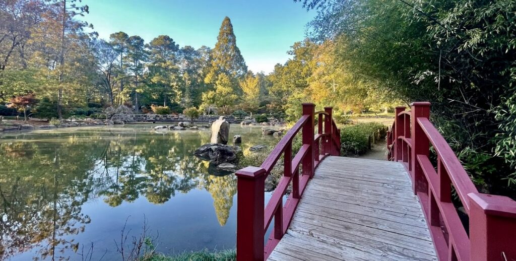 Japanese garden