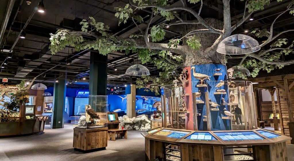 McWane Science Center exhibits