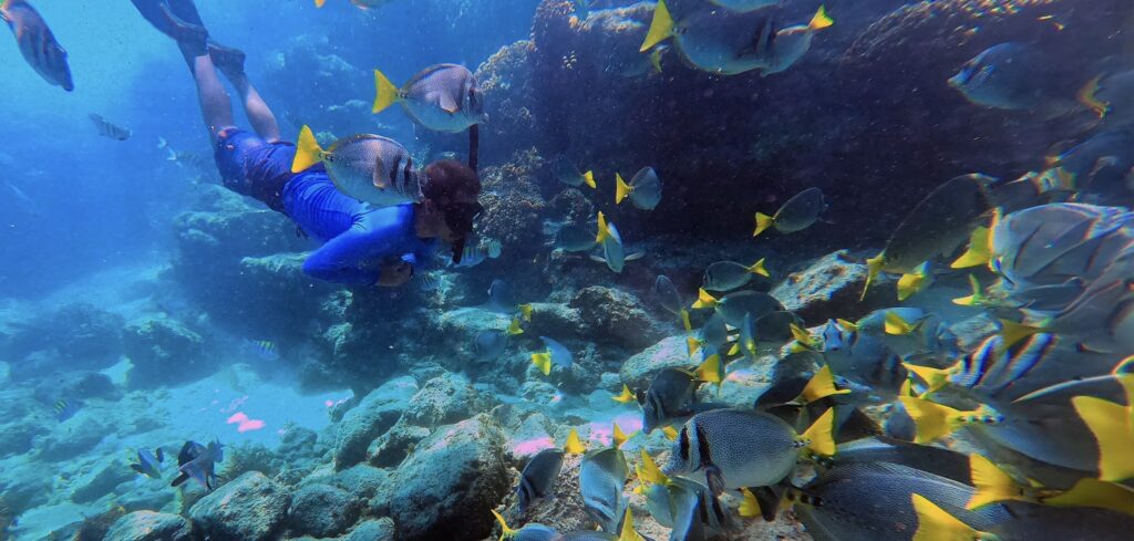 snorkeling at Marietas Islands