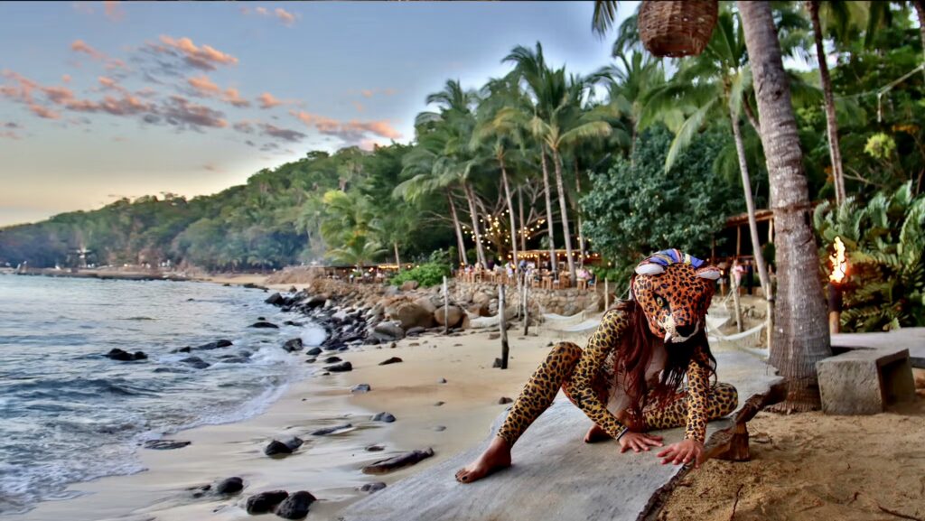 Rhythms of the Night performer