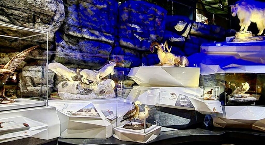 Arctic/Desert exhibit