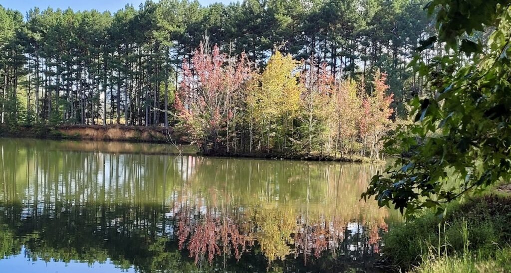 Bar Lake