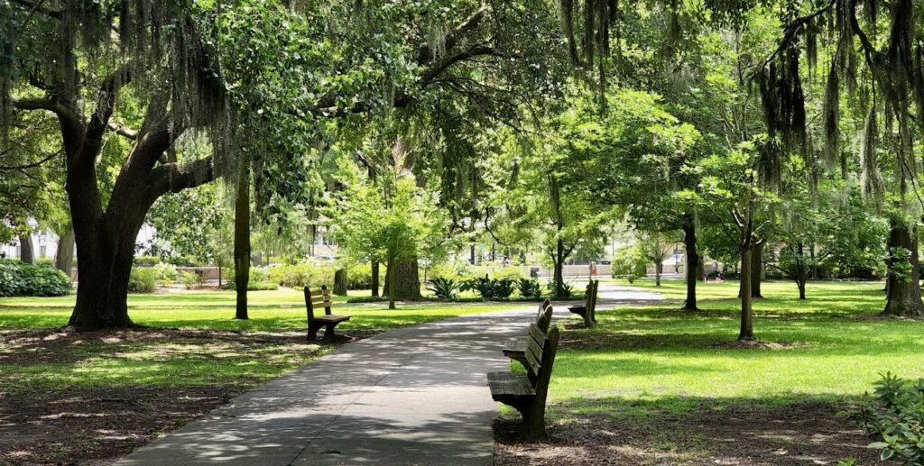 Forsyth Park paths