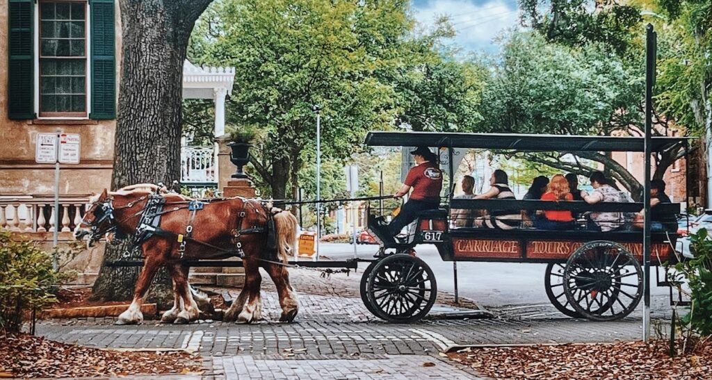 horse-drawn carriage tour