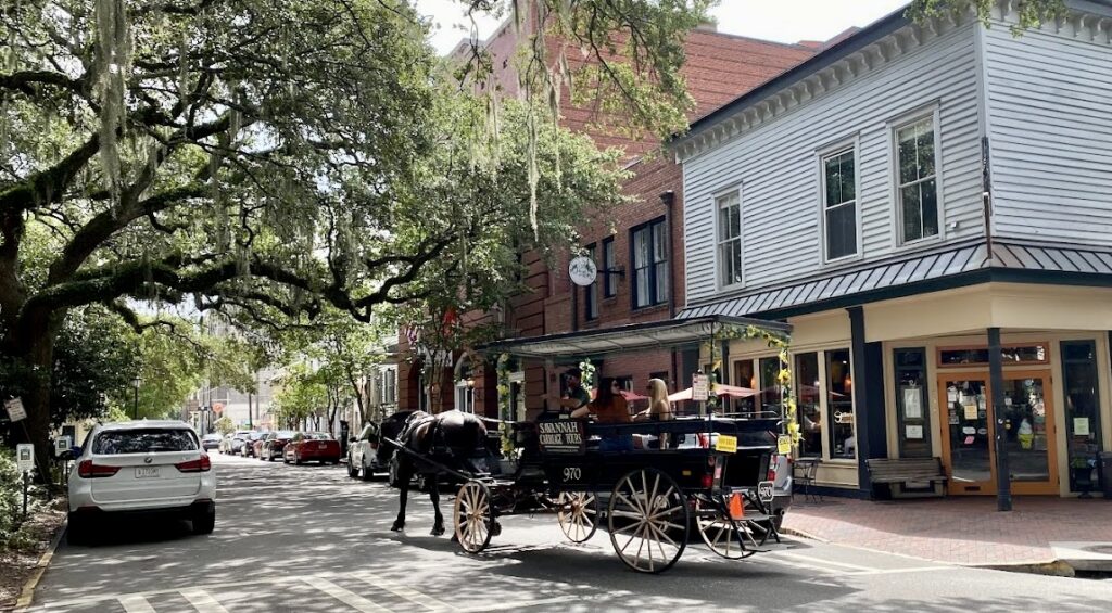 carriage ride at Chippewa Square