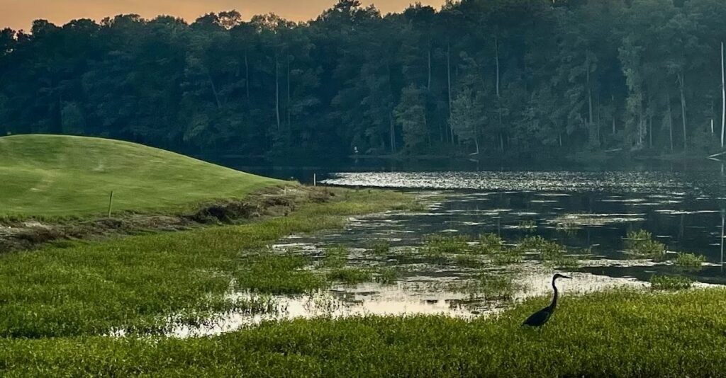 wetland at Oak Hills