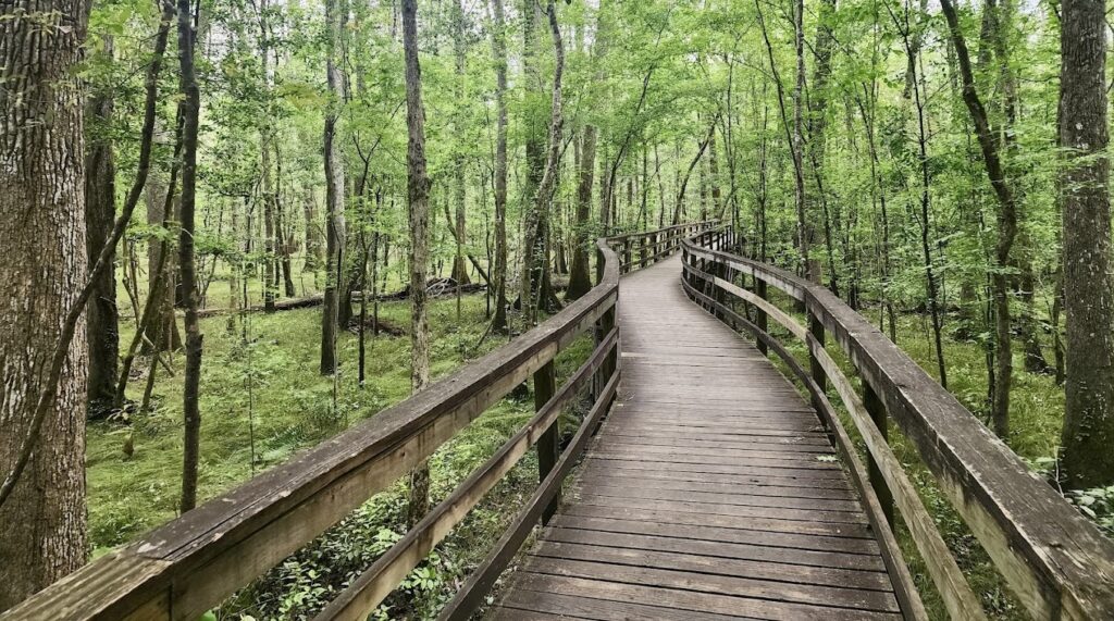 hiking boardwalk