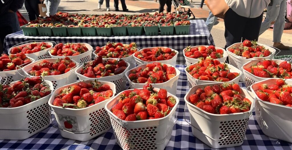 fresh strawberries