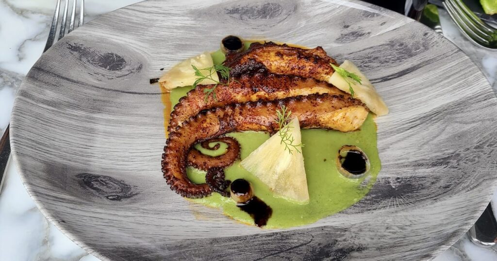 octopus
