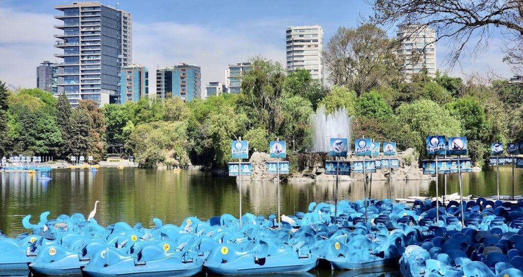 Lago de Chapultepec paddleboat