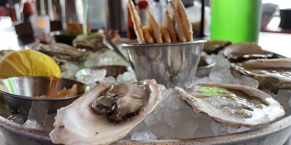 oysters