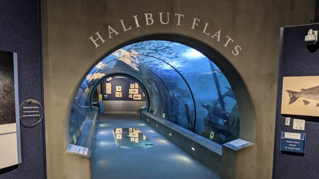 Passages of the Deep
