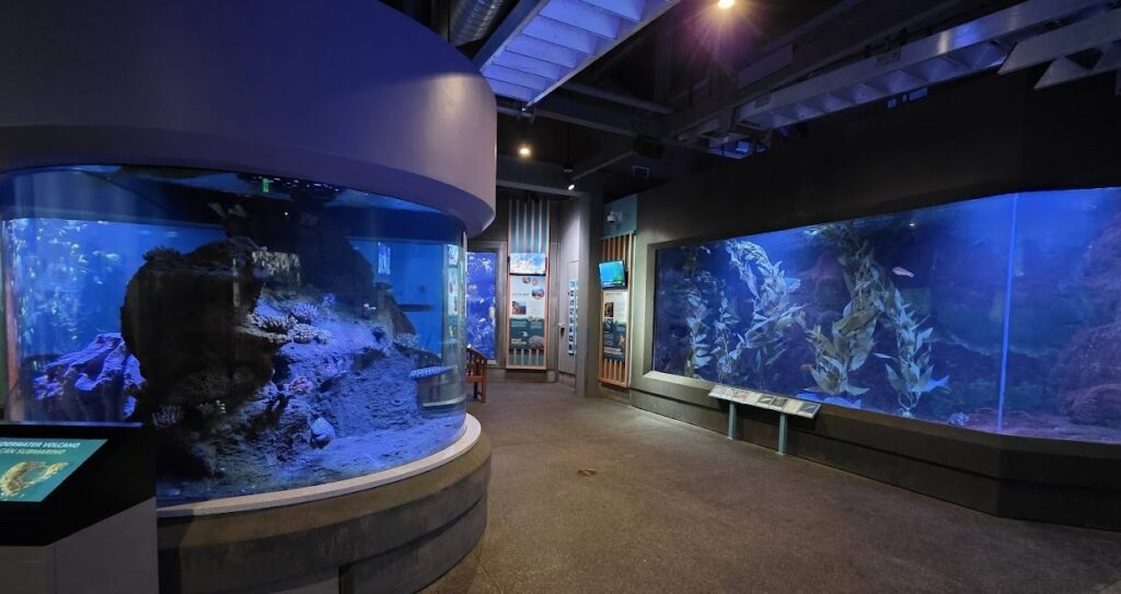aquarium exhibits