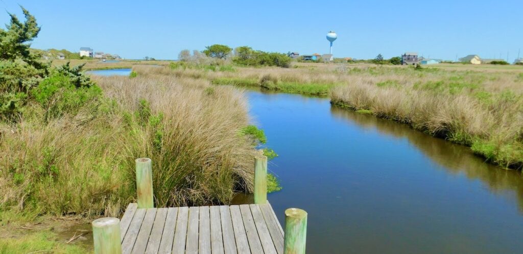 marshlands