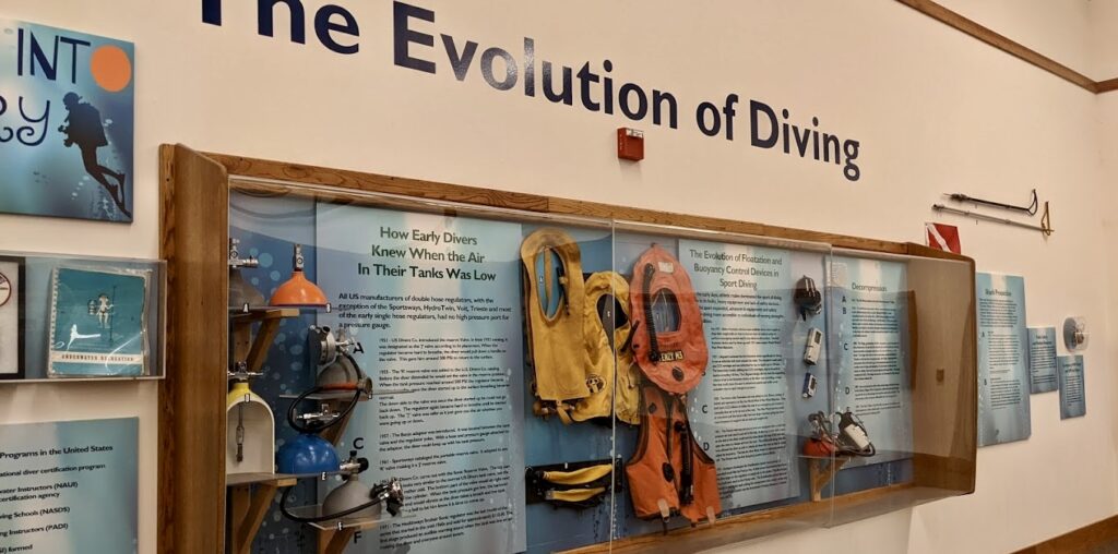 diving exhibit