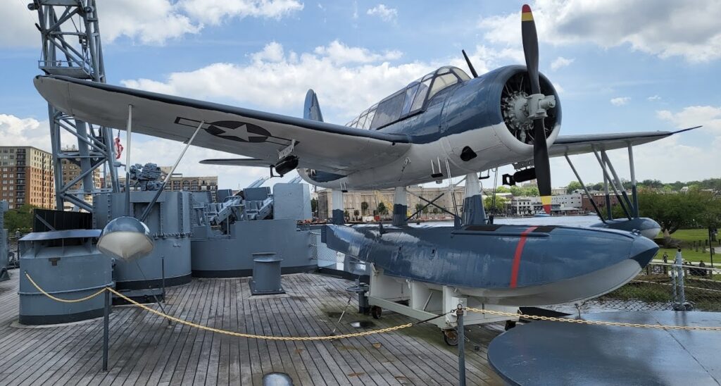 Kingfisher plane