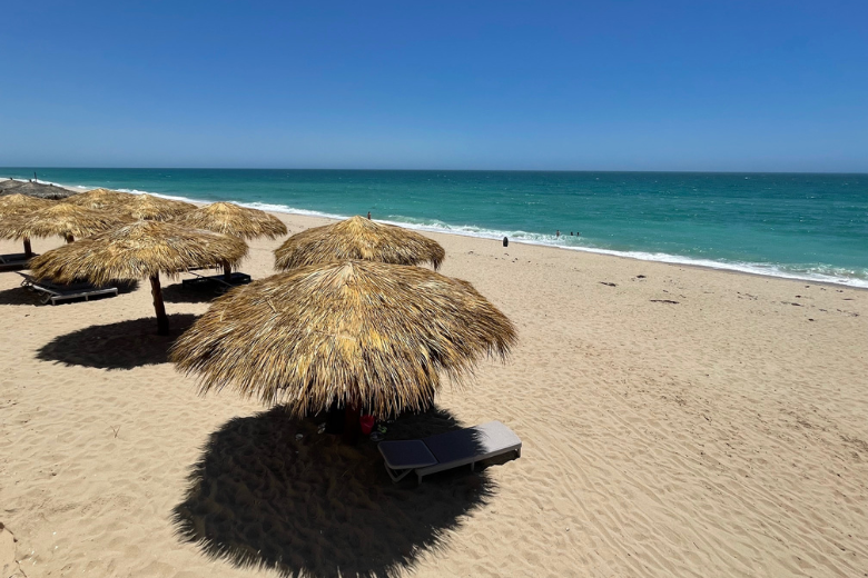 Sandy Beach with Shade Palm Umbrellas 