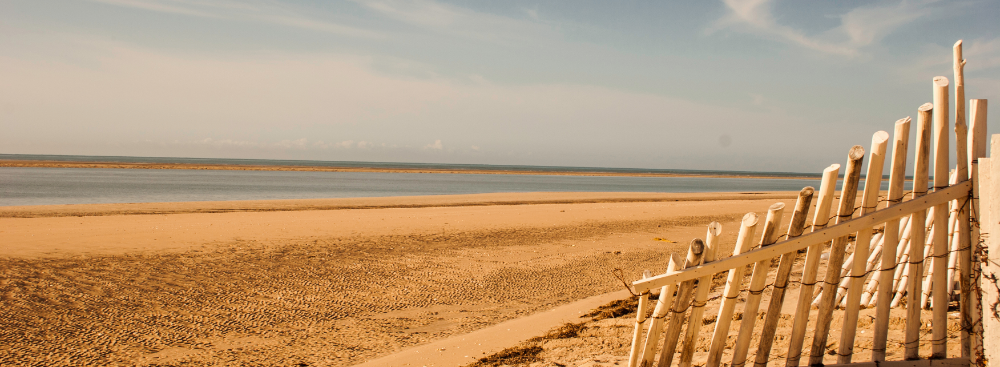 Exploring Sandy Beach: The Heart of Rocky Point