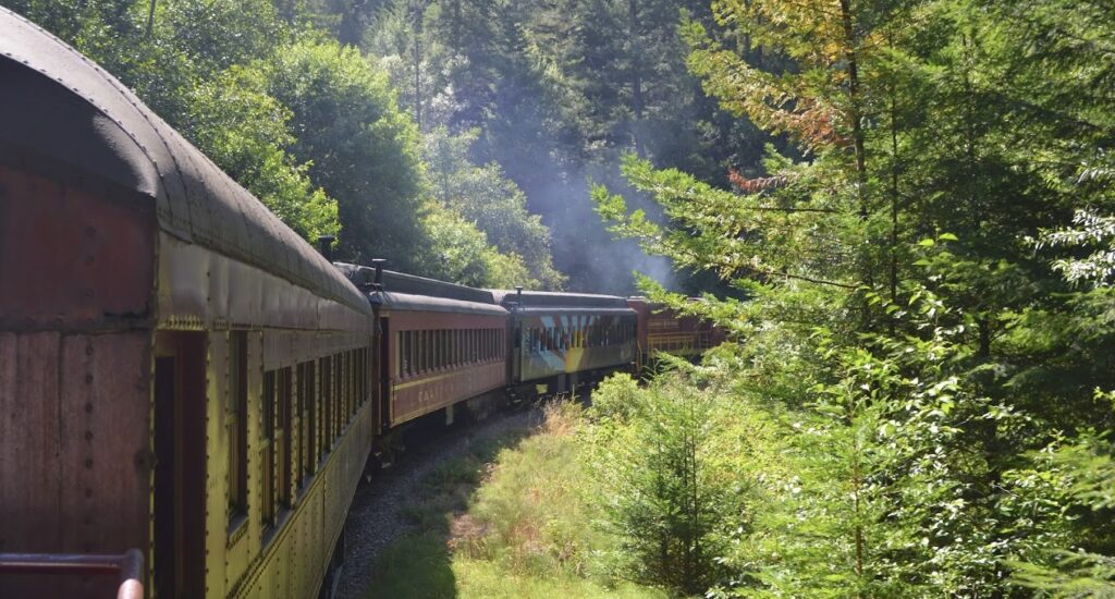 Redwoods train ride