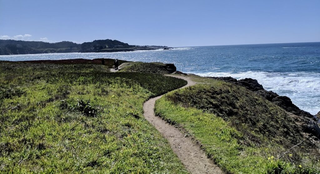 Mendocino Trail