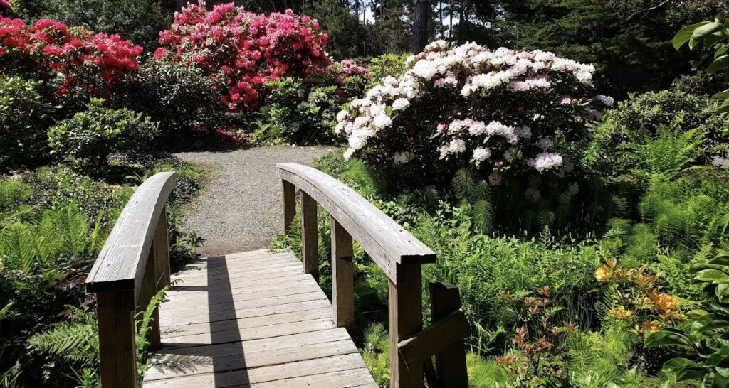bridge and flowers