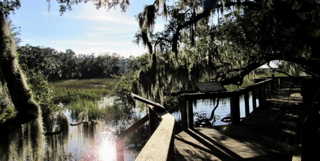 swamp boardwalk