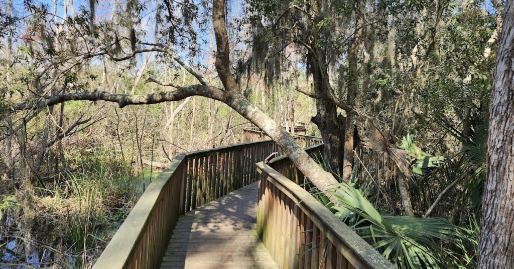 preserve boardwalk