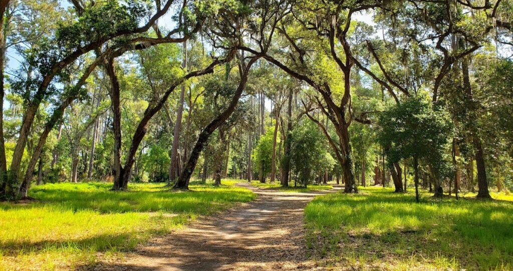 Sea Pines Forest Preserve