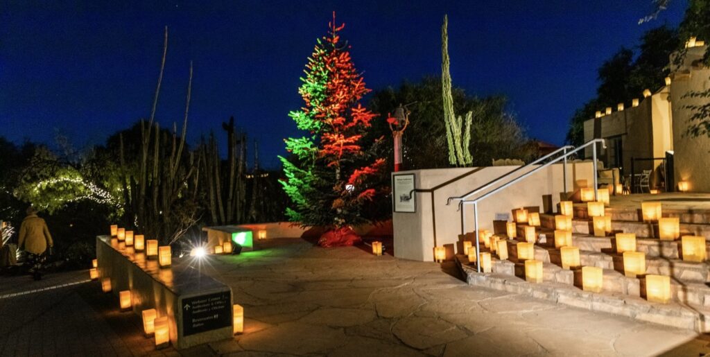 Noche de La Luminaries