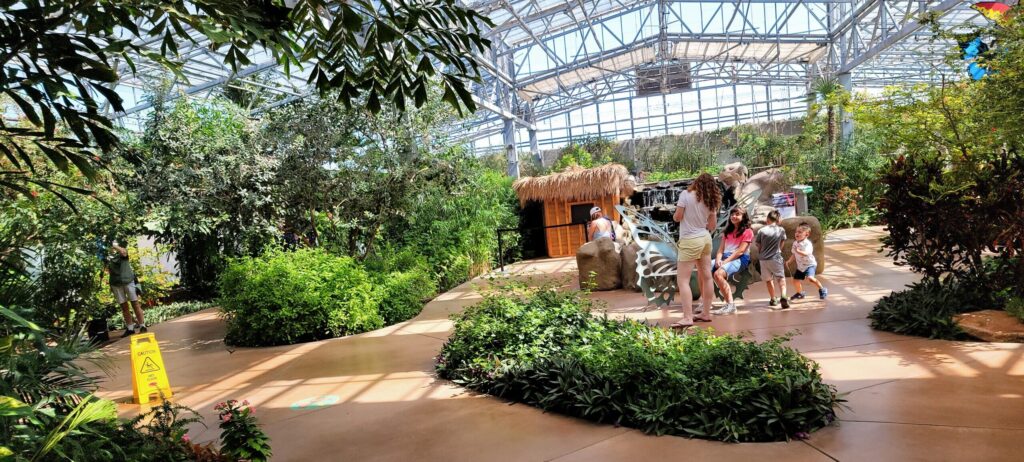 Butterfly Wonderland