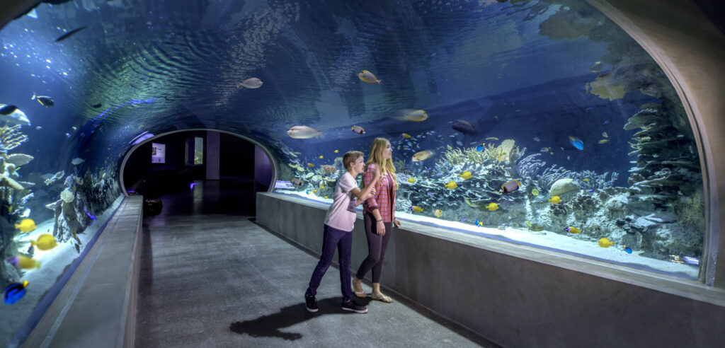 underwater walkway