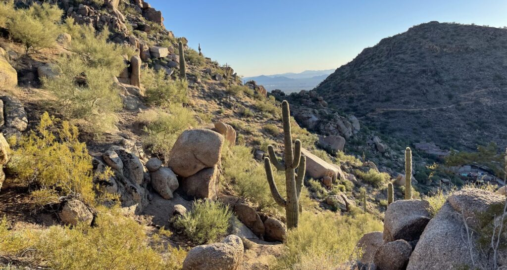 cacti and mountain trail
