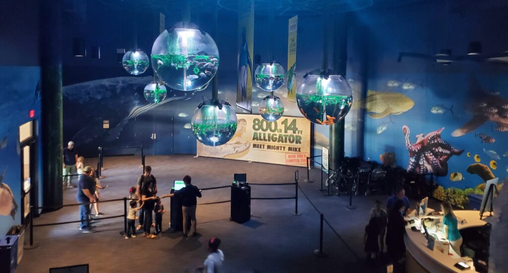 OdySea Aquarium lobby area