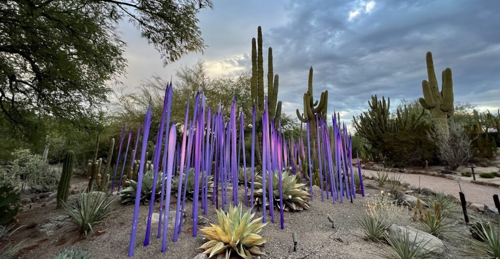 art at Desert Botanical Garden