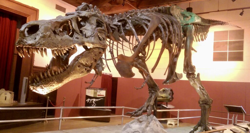 T-rex